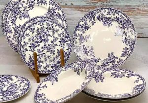 بزرگترین نمایندگی ظروف دنی هوم در تهران